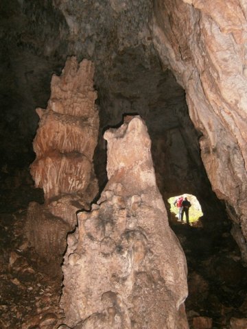 P4262654
