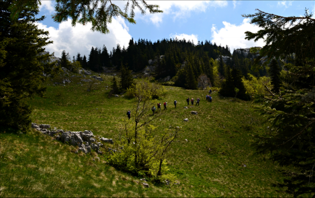 DSC_0151