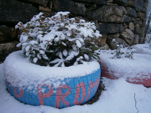 P2012234