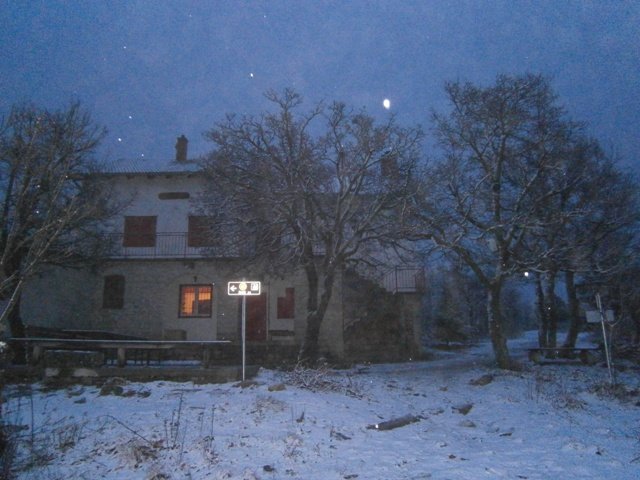 P2012238