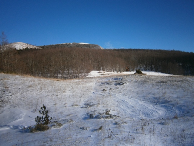 P1062065