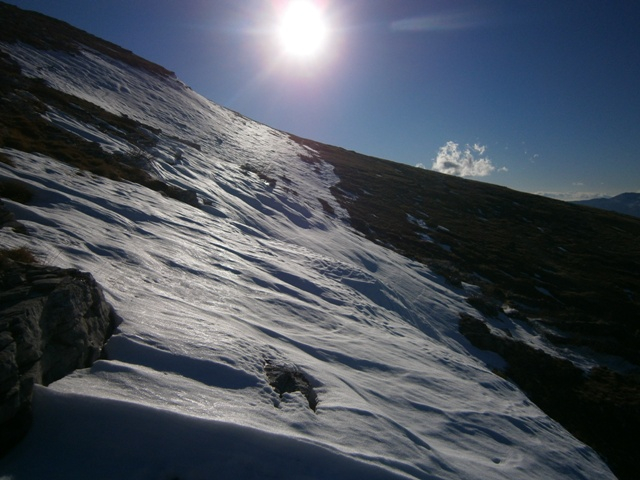 P1041929