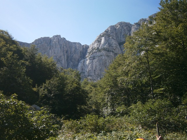 P8311154