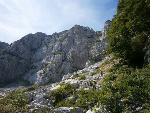 P8311159