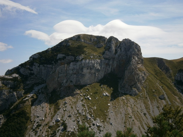 P8311180