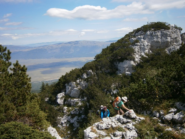 P8311191