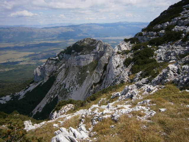 P8311211