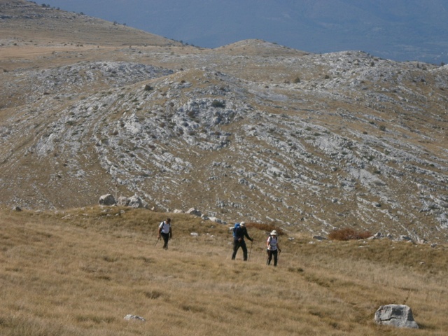 PA121365