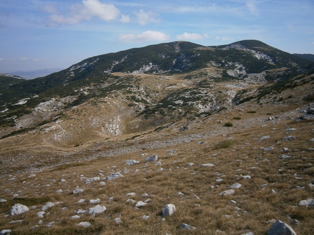 PA121394
