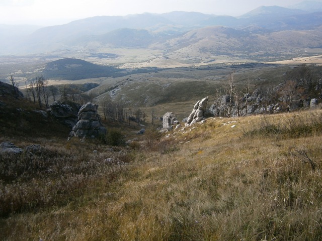 PA051266