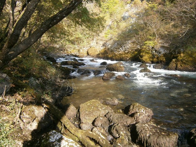 PA051298