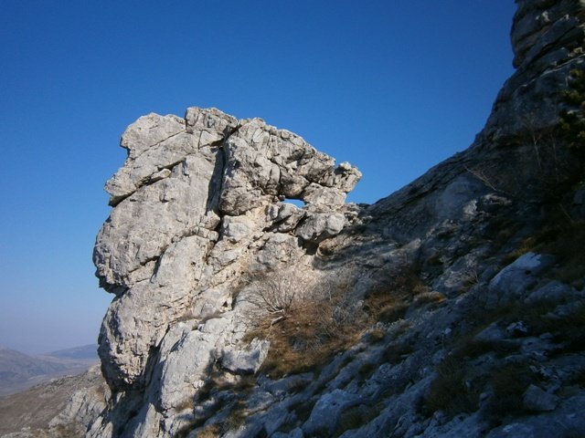 P3300036