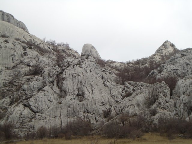 DSC00295