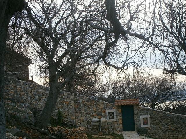 P1260052