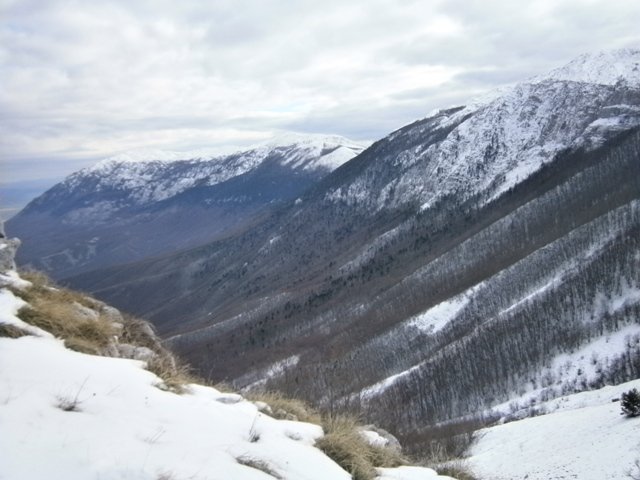 PC080067