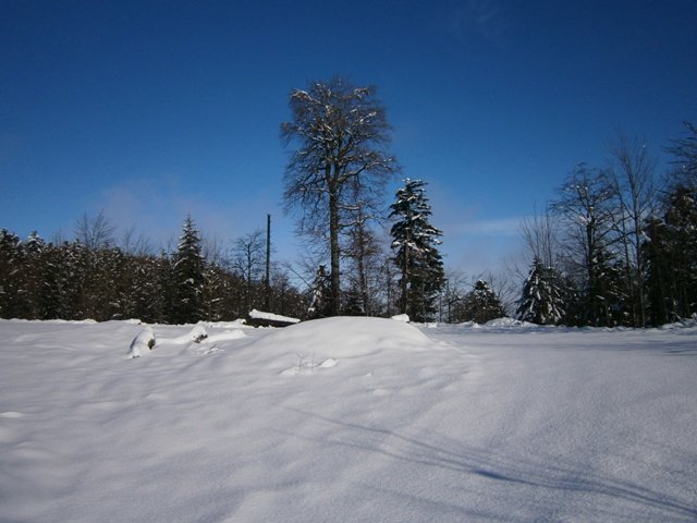 PB240115
