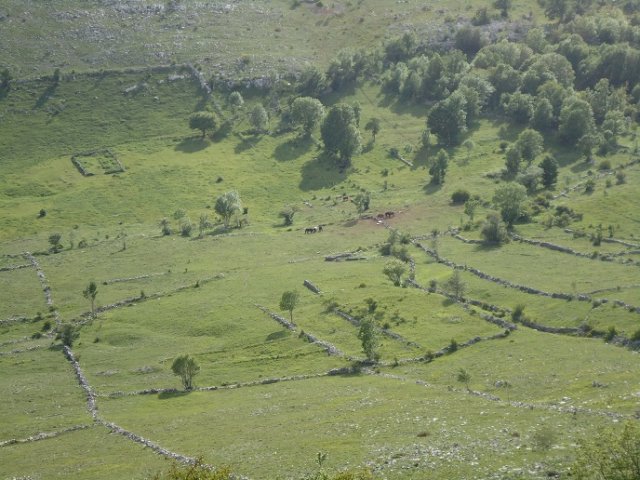 11b