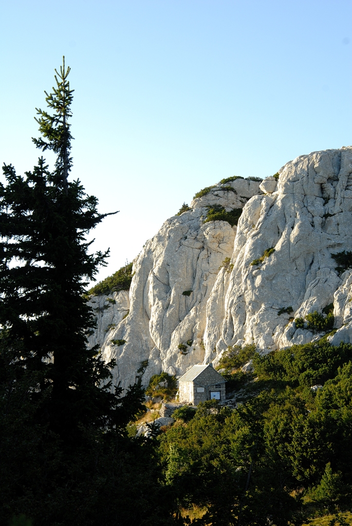 glz_2215
