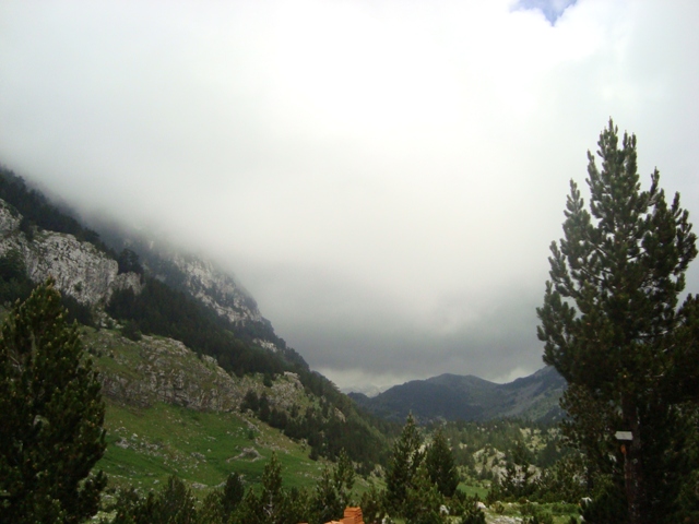 dsc03000