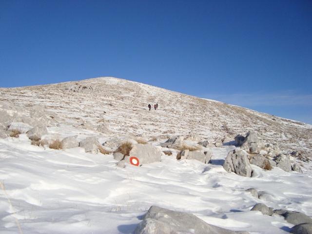 dsc00176