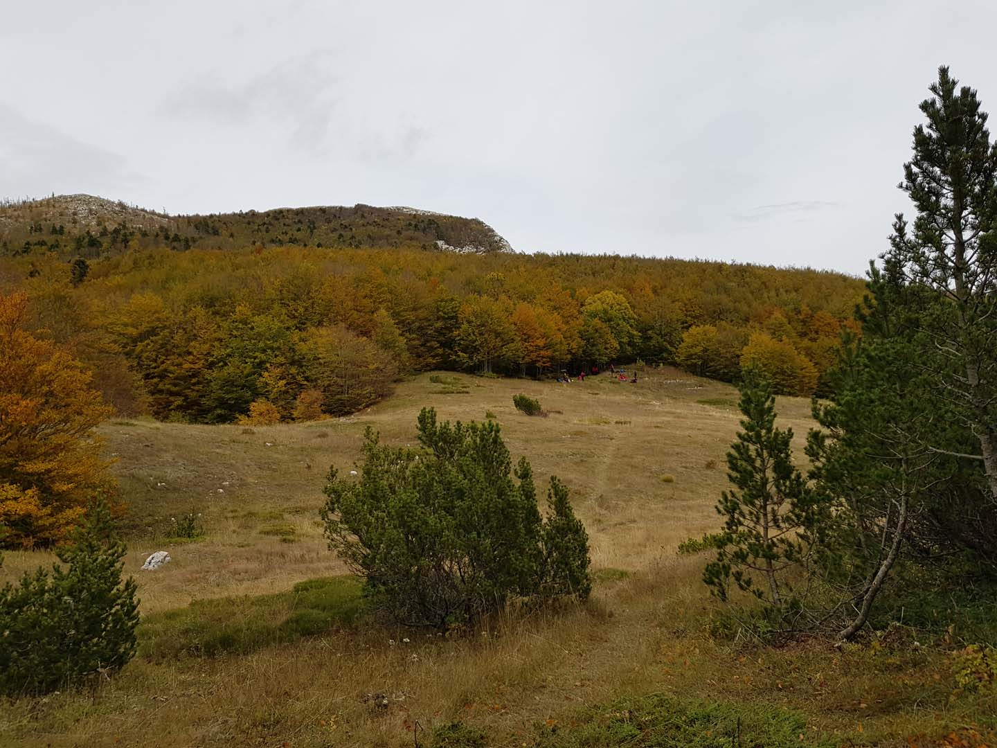 20171008_134748