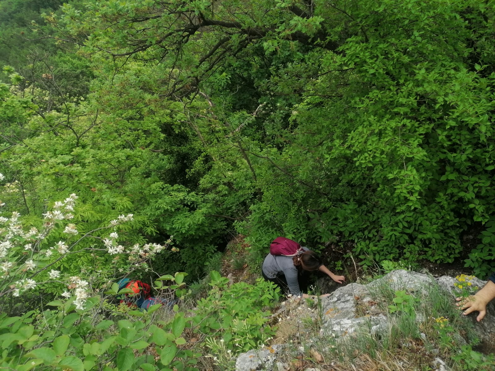 IMG-20220508-WA0172