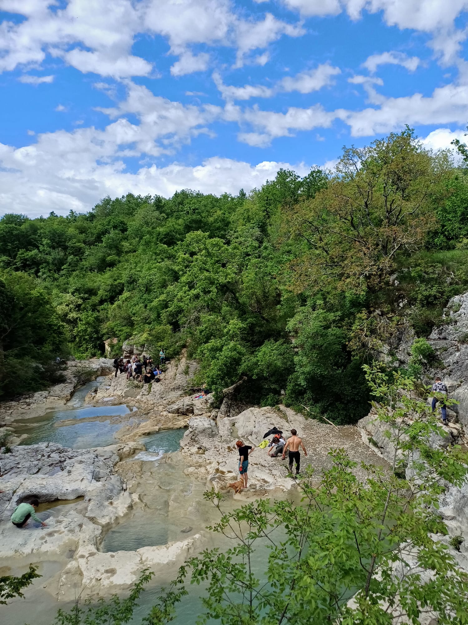 IMG-20240504-WA0081