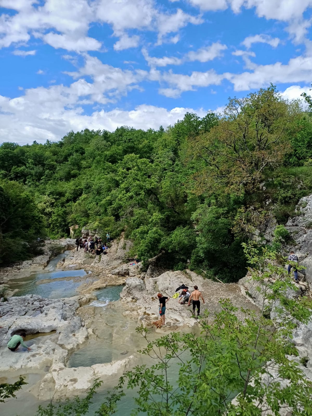IMG-20240516-WA0016