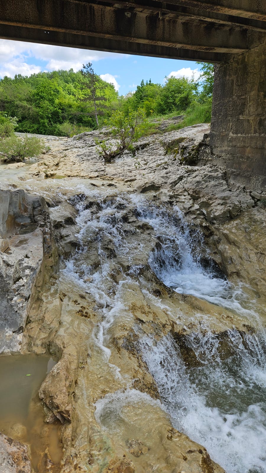 IMG-20240516-WA0021