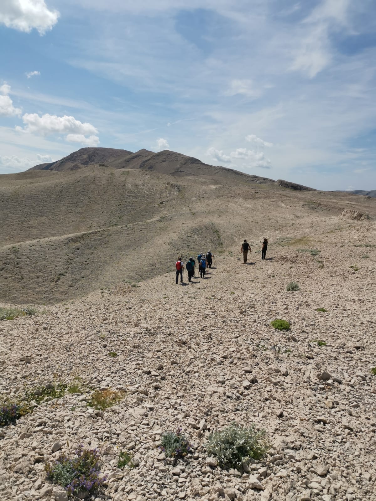 IMG-20240530-WA0156