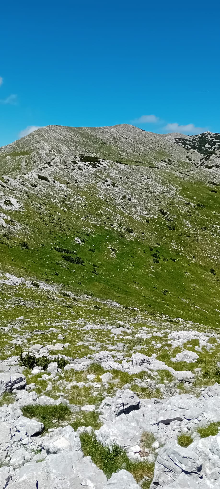 IMG-20240616-WA0016