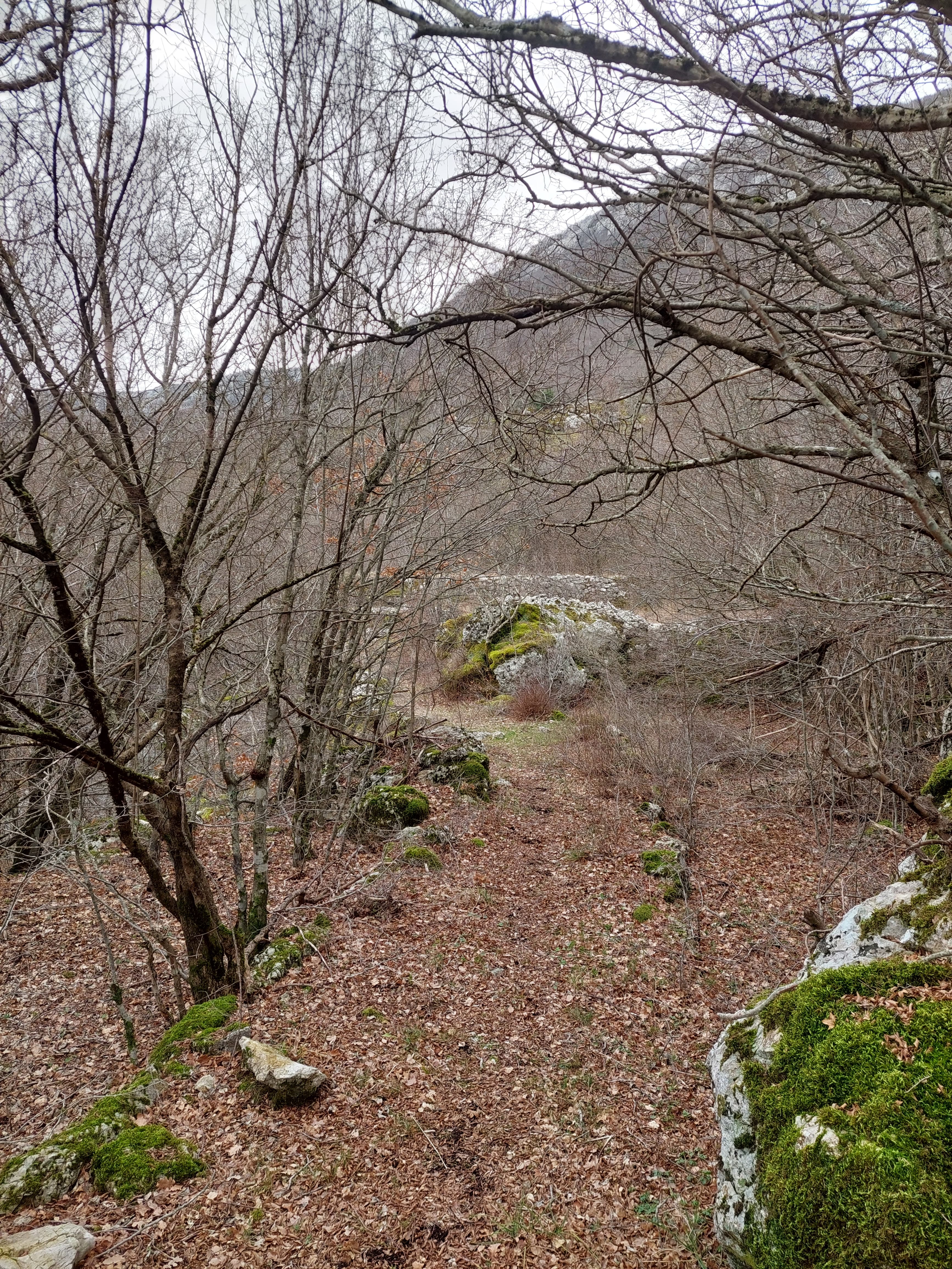 IMG-20250225-WA0016