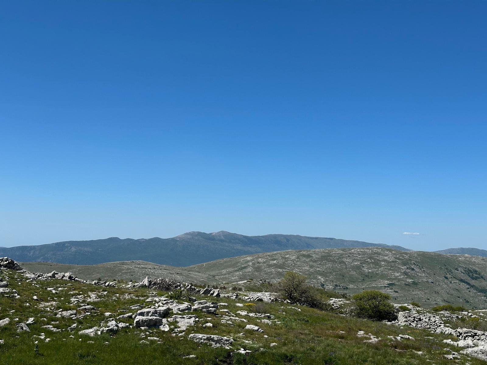 IMG-20250525-WA0013