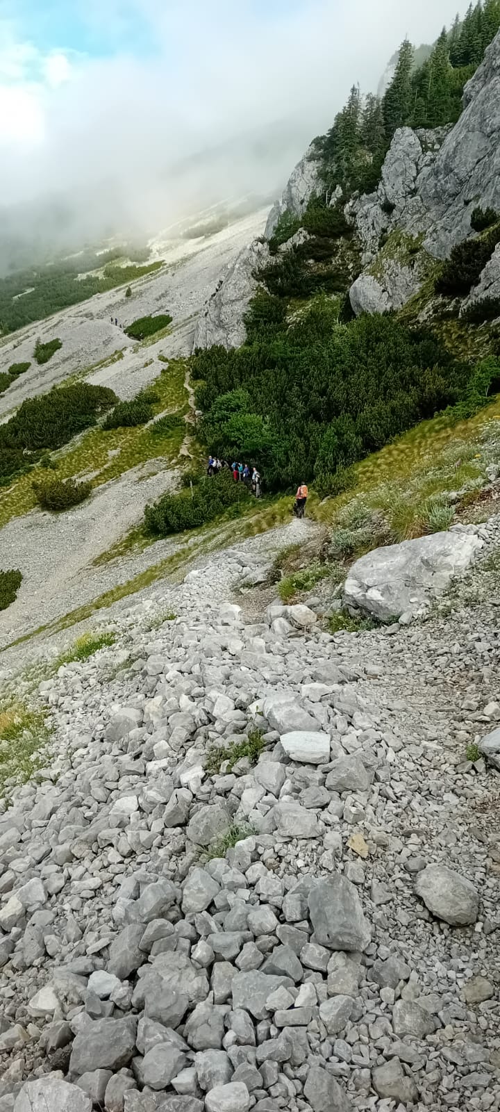 IMG-20250706-WA0174
