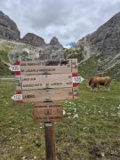 525043158241249119704983307335619312018158140n