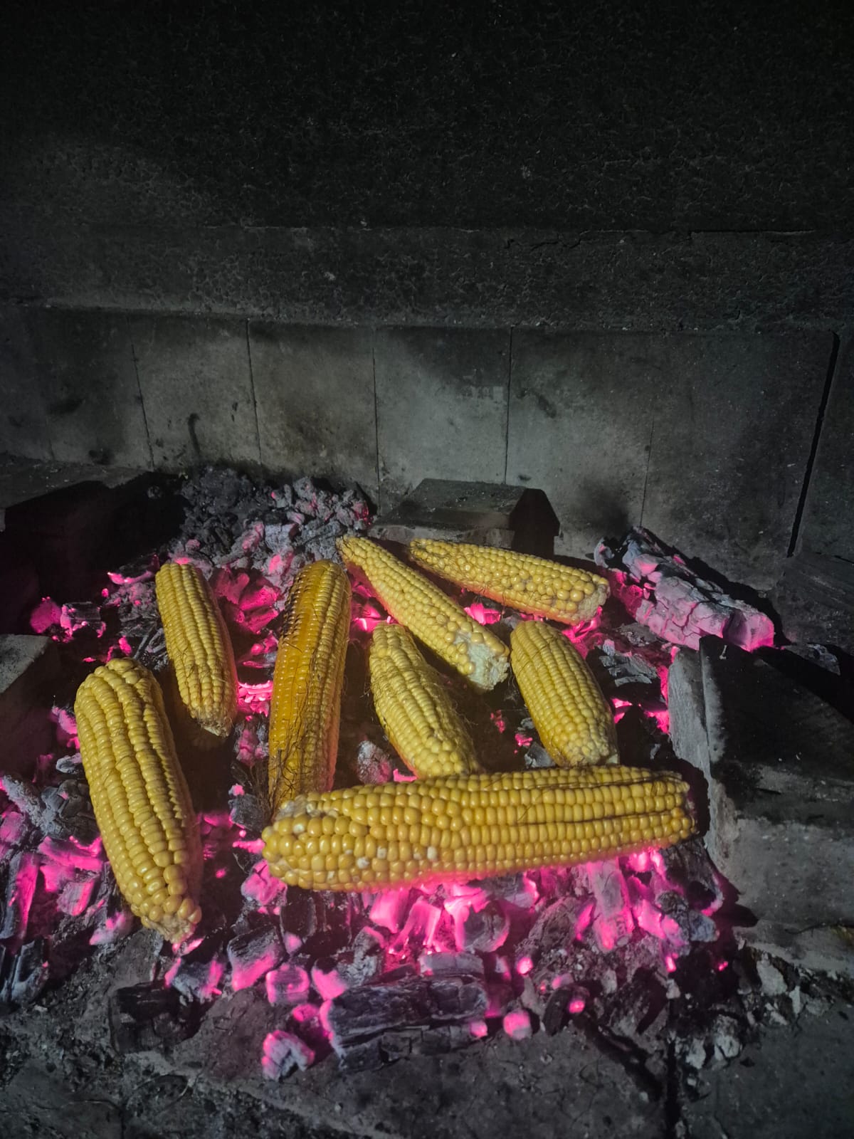 IMG-20250823-WA0153