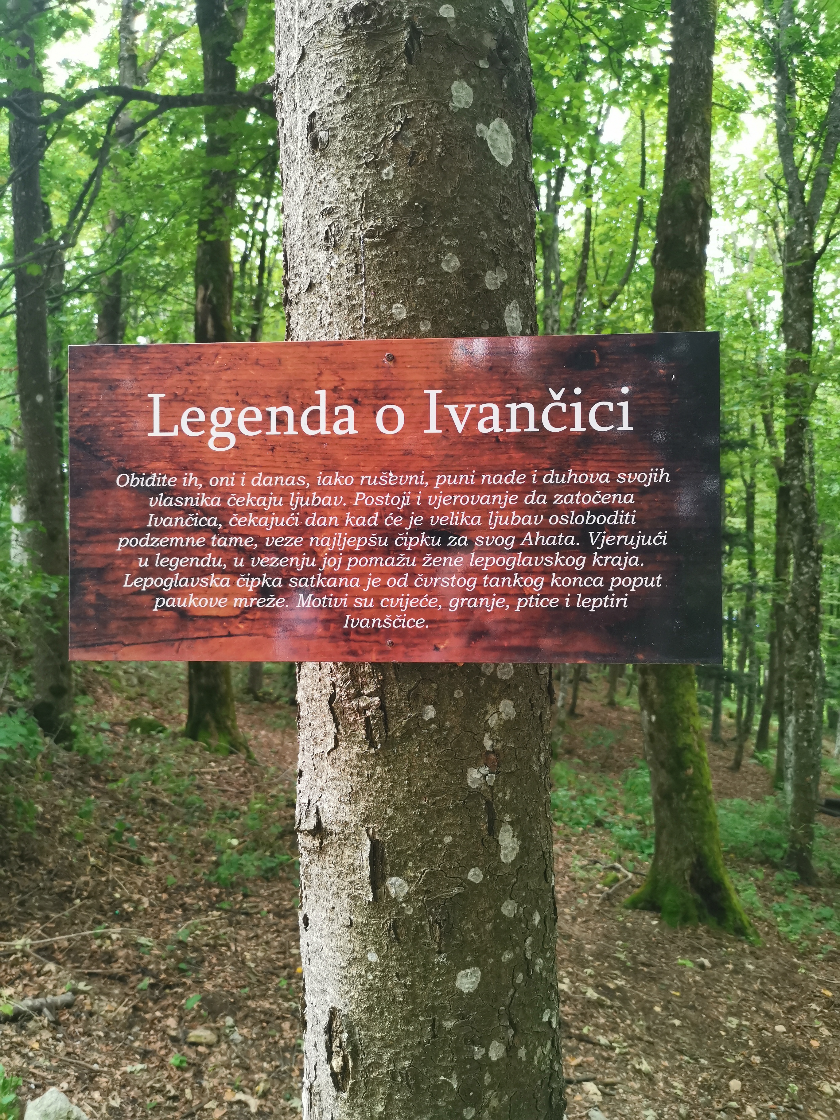 IMG20250823101545
