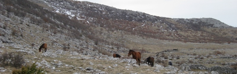 Uspon na Sveto Brdo 1751m