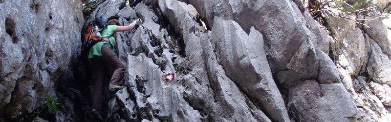 10.-12. 05. 2014. Bijele stijene-Vihoraški put- Vrh Risnjak