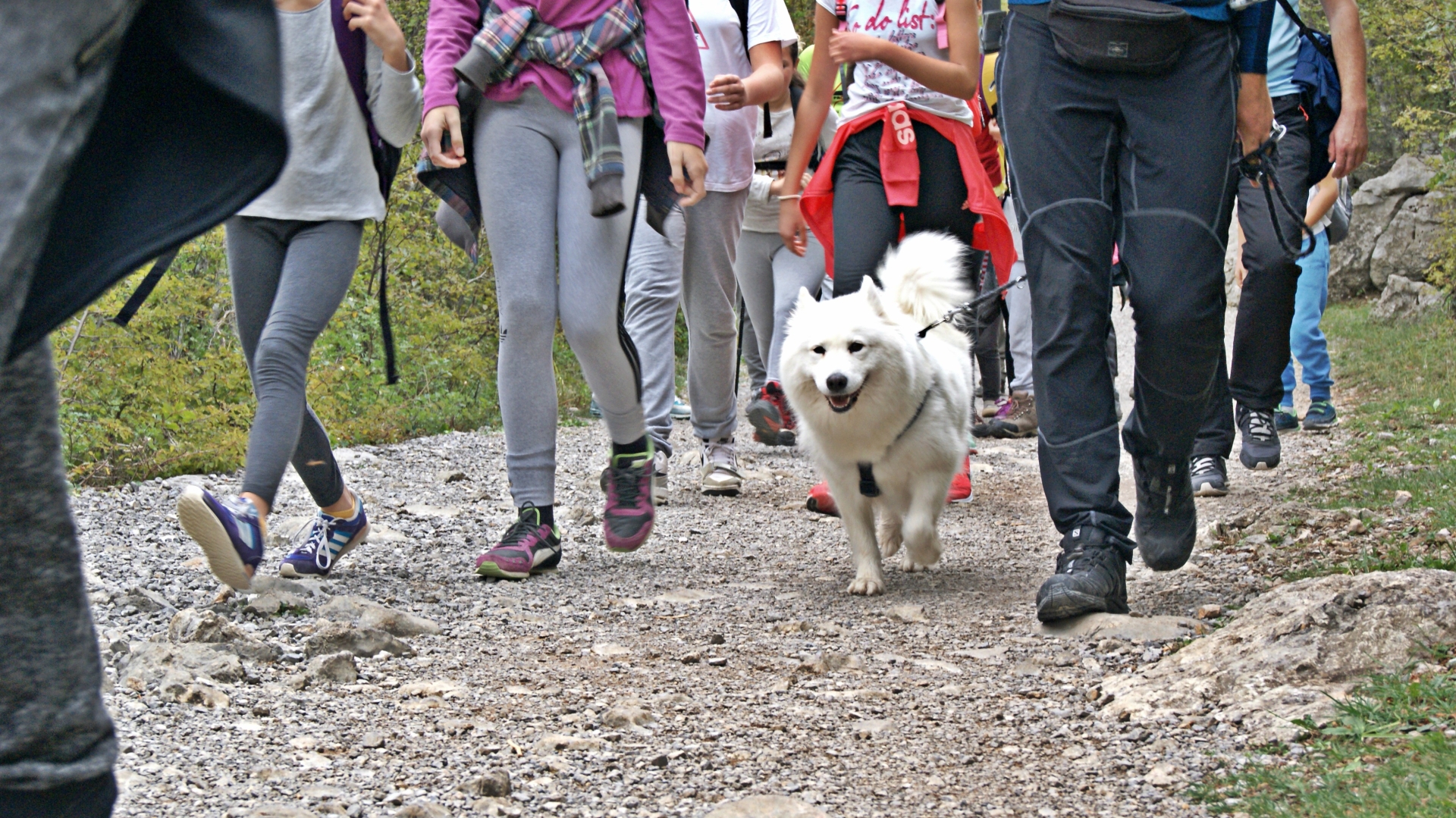 II. izlet male planinarske škole - Paklenica